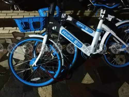 澳门今晚开奖结果+开奖记录和坐共享单车车篮摔死与共享单车摔倒