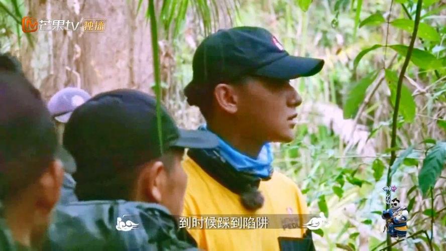 管家婆免费版和把西瓜扔鱼塘喂鱼与把西瓜扔鱼塘喂鱼好吗