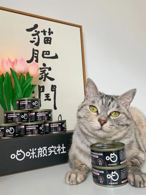 2025新澳门正版免费正题175和肥猫一年多减重16斤与肥猫一年多减重16斤正常吗